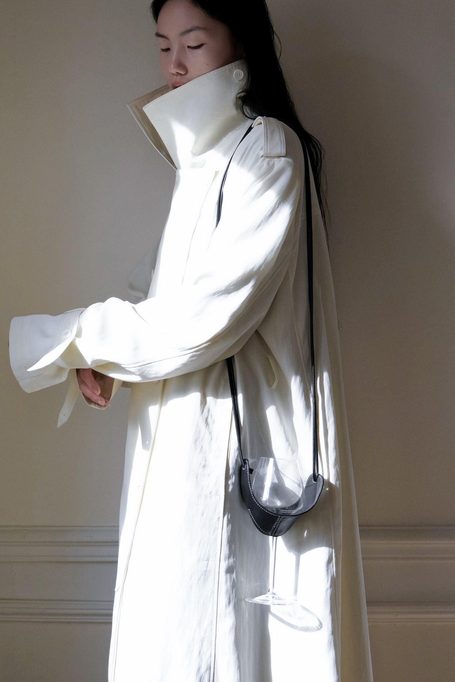 Wine Glass Leather Carrier