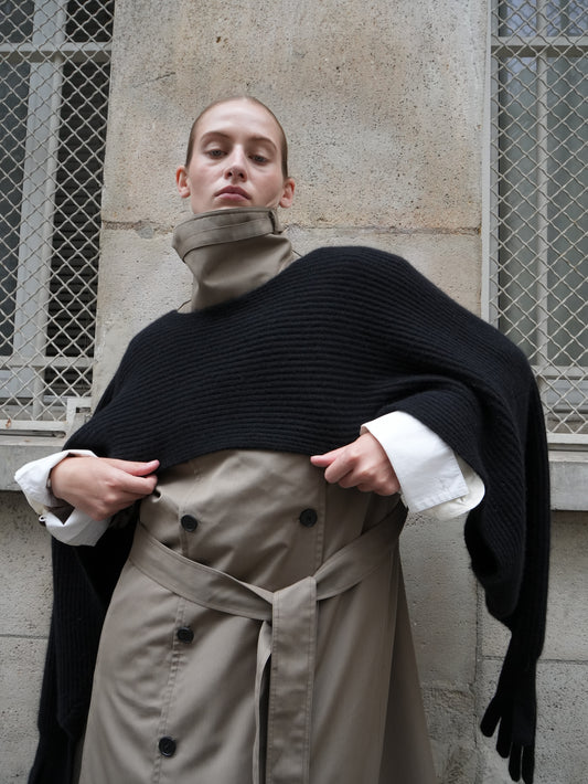 AURORA DÙ RICHELIEU cashmere shawl with gloves in black