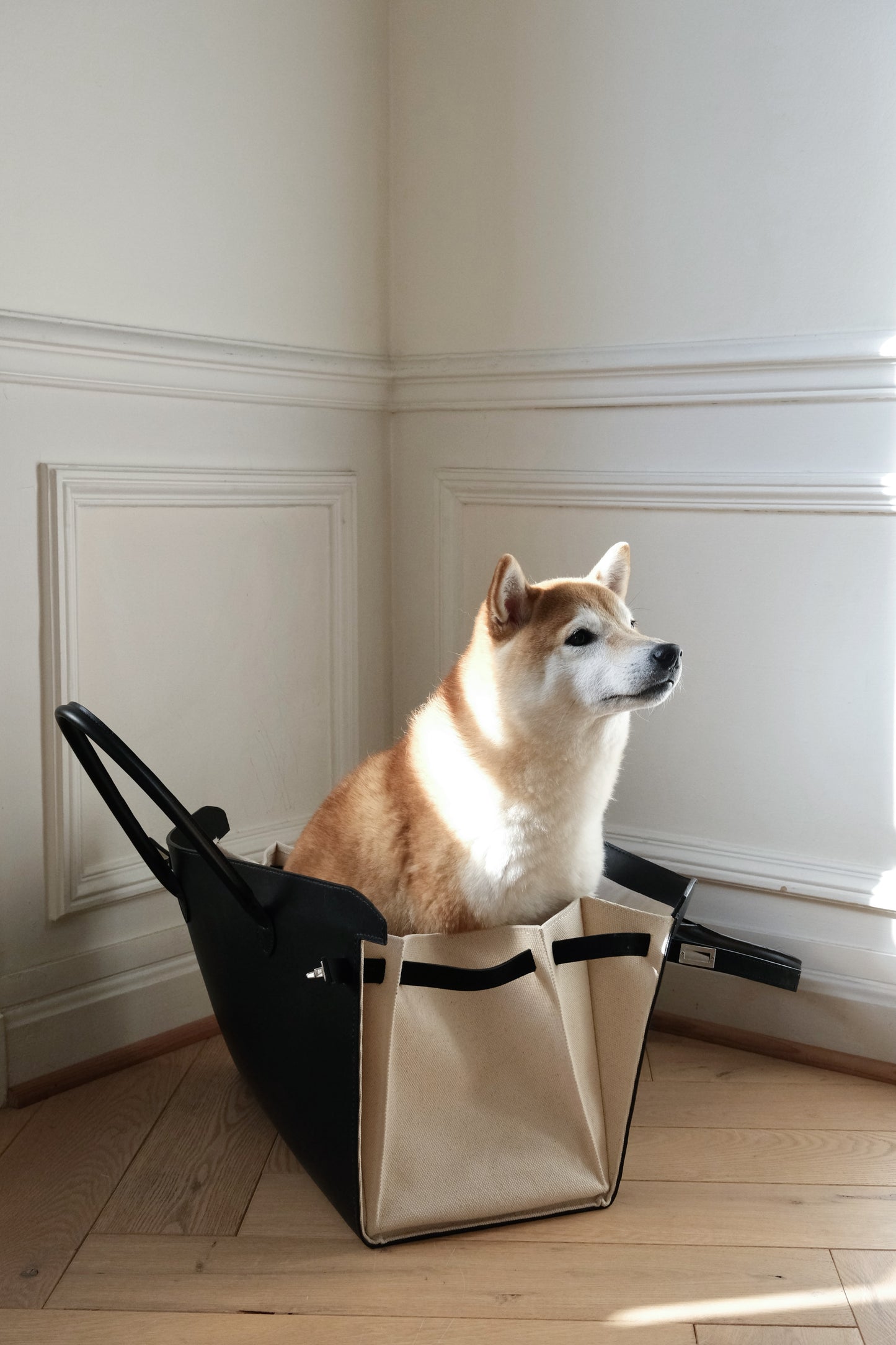 Jaja Leather Travel Bag
